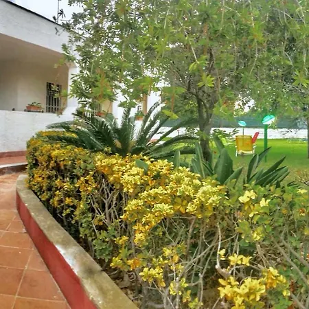 Venere Holiday home